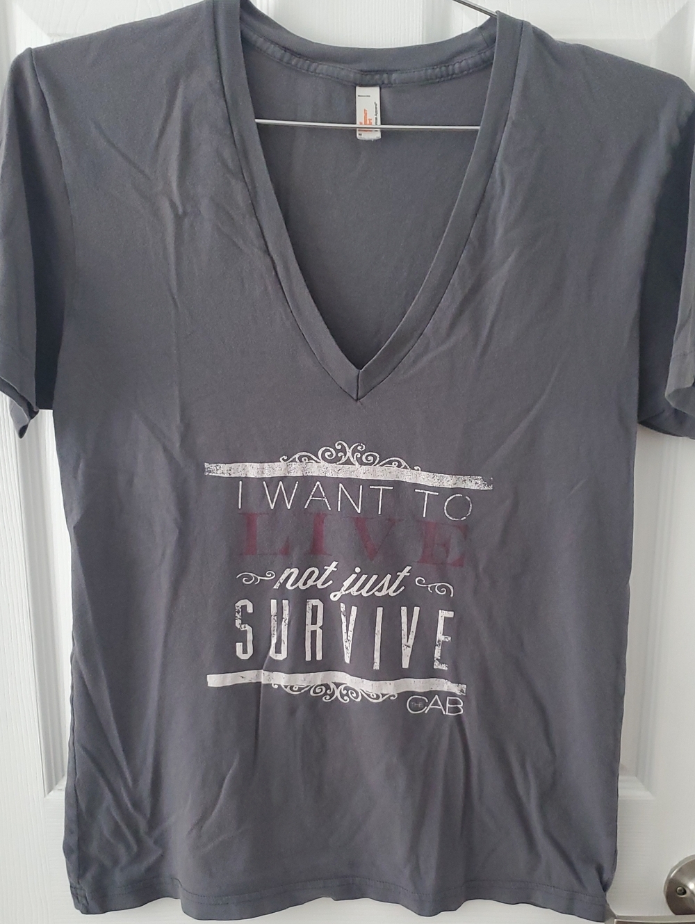 AMERICAN APPAREL Charcoal Gray V-Neck Graphic T-Shirt
